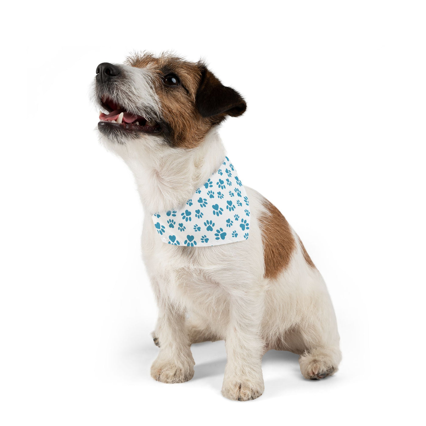 "Paws of Love: Blue Hearts and Prints" Pet Bandana Collar