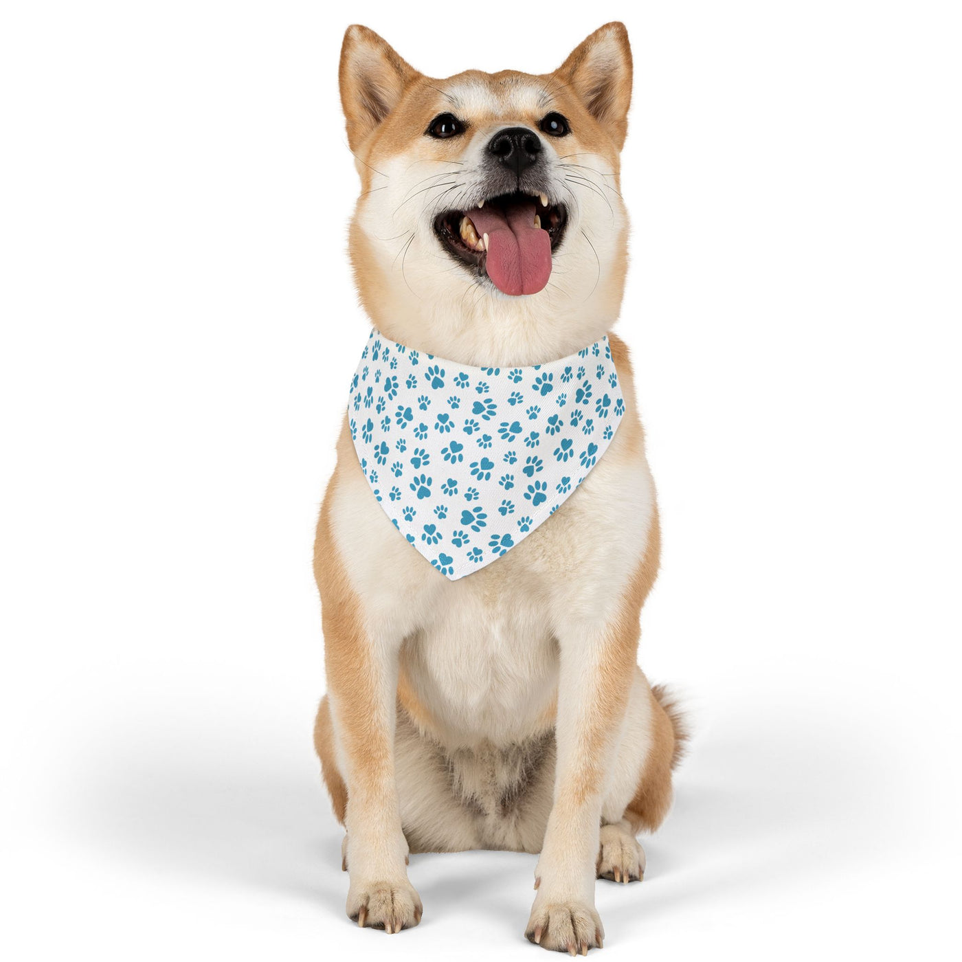 "Paws of Love: Blue Hearts and Prints" Pet Bandana Collar